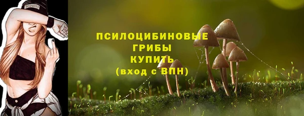 дмт Ростов