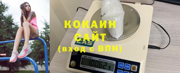 apvp Рославль
