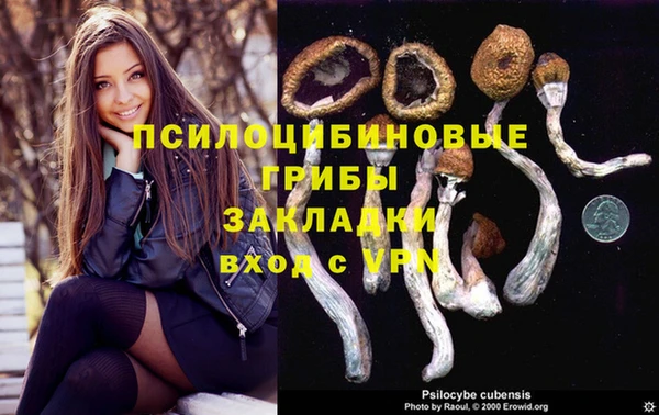 apvp Рославль