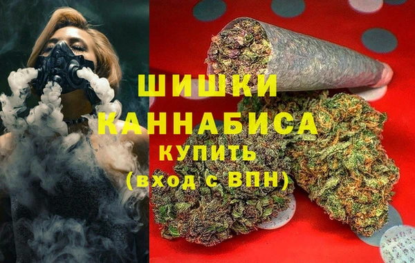 apvp Рославль