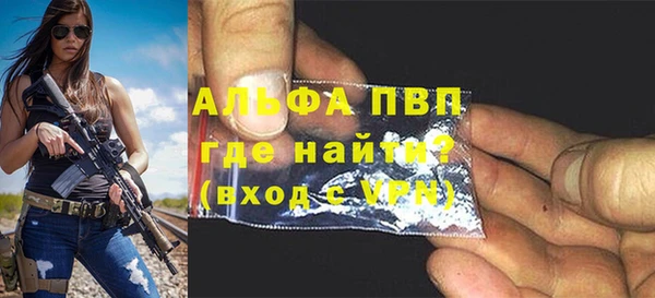 apvp Рославль