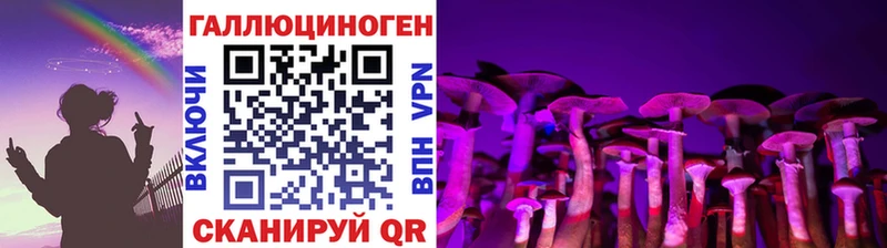 цена наркотик  Ак-Довурак  Галлюциногенные грибы Psilocybe 