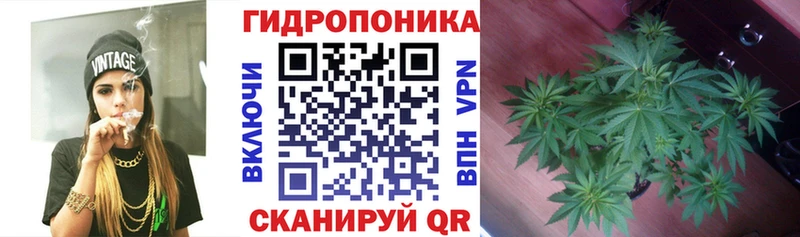 Бошки марихуана марихуана  Ак-Довурак 